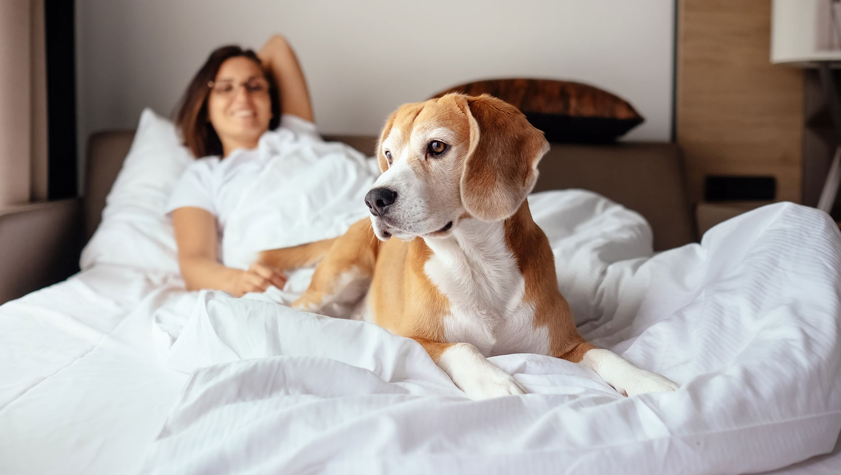 Dog on bed with woman