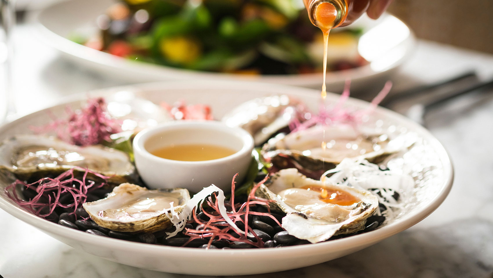 oysters at King Brasserie and Bar