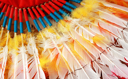 Indian feathers