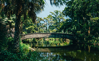 City Park